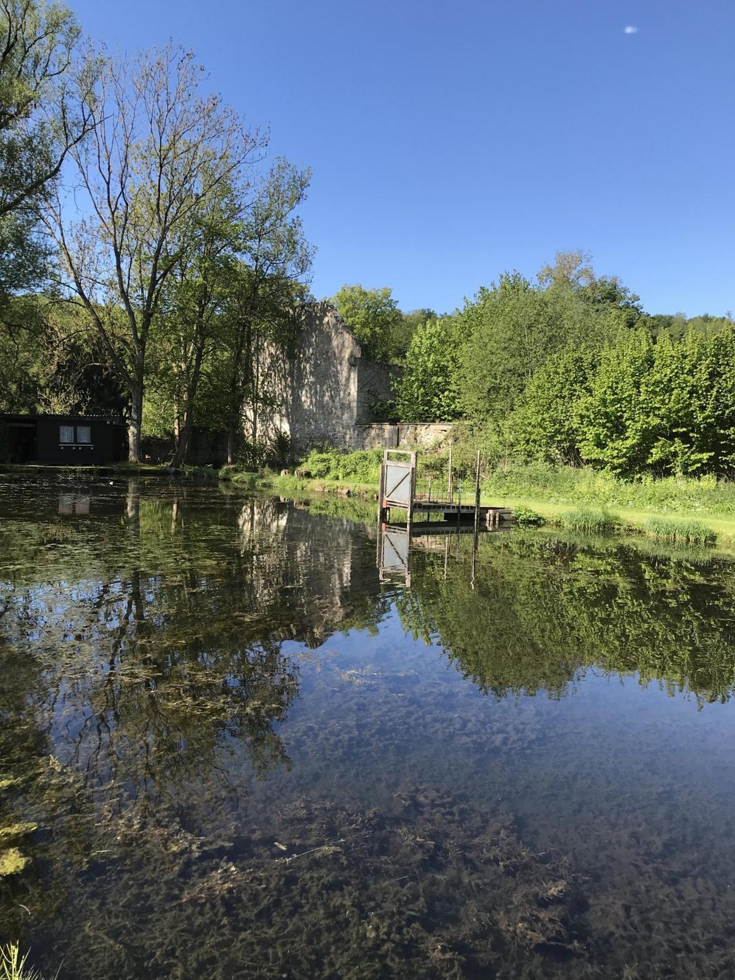 Klosterhotel Walkenried エクステリア 写真